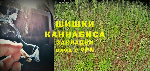 трава Аркадак