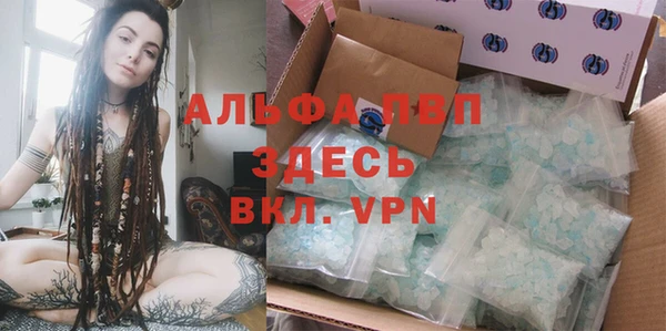 трава Аркадак