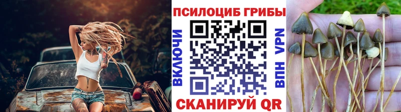 Псилоцибиновые грибы прущие грибы  купить наркотик  Соль-Илецк 